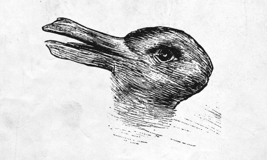 duck-rabbit_1024x1024
